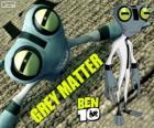 Gri Madde ve Grey Matter, Ben 10